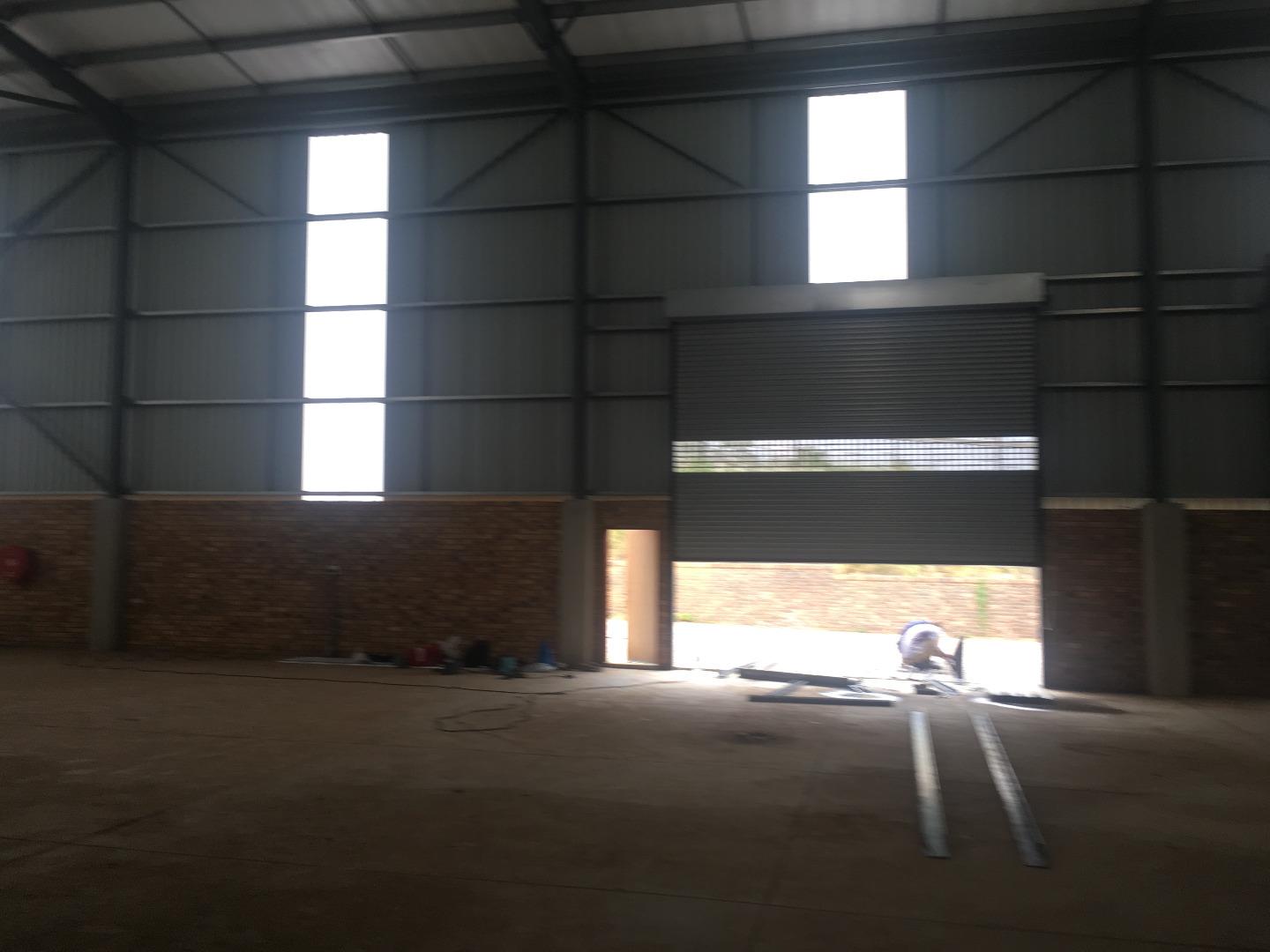 536008_IMG_9632.JPG