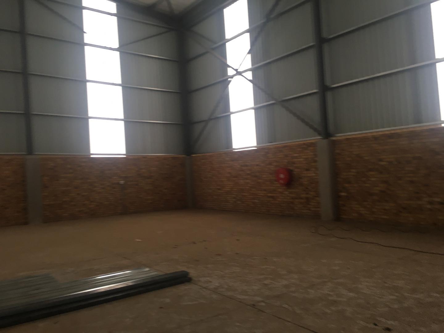 536008_IMG_9667.JPG