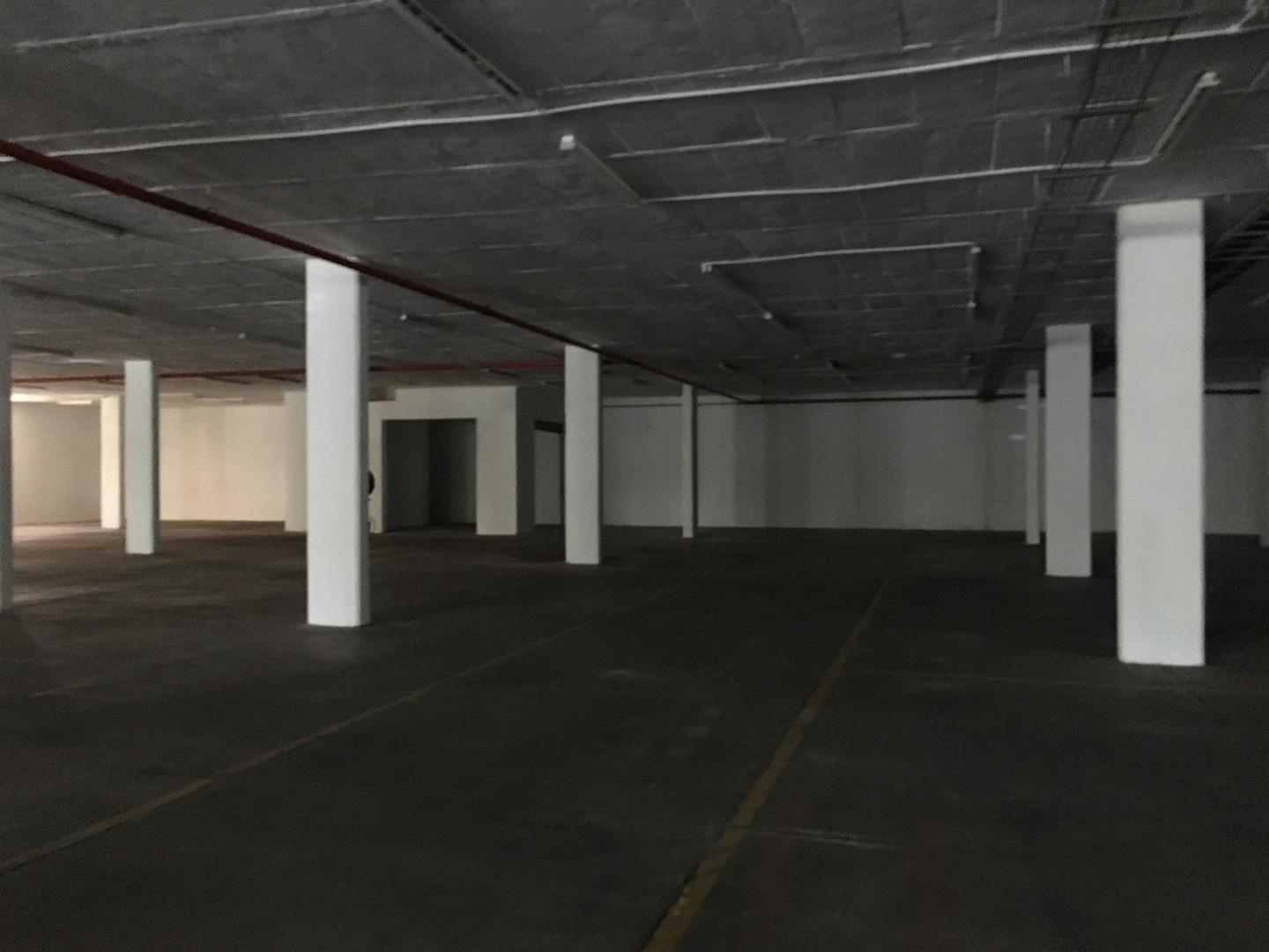536015_IMG_6745.JPG