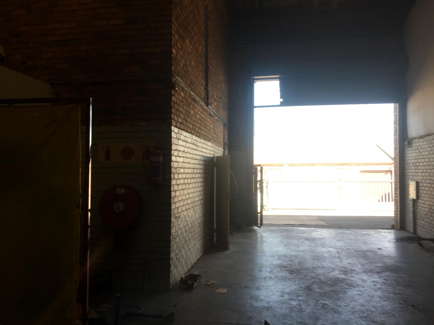 558800_IMG_8186.JPG