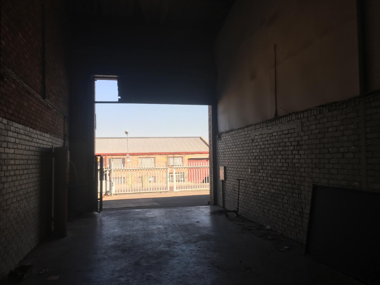 558800_IMG_8188.JPG